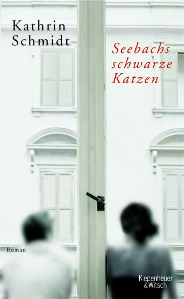 Seebachs schwarze Katzen: Roman
