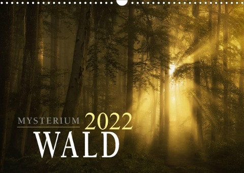 Mysterium Wald (Wandkalender 2022 DIN A3 quer)