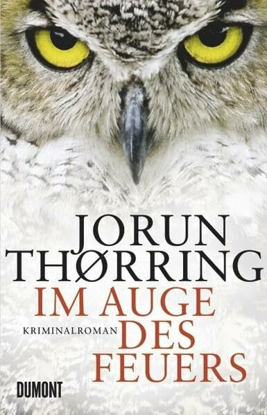 Im Auge des Feuers: Kriminalroman