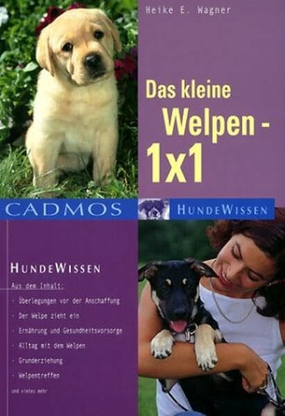 Das kleine Welpen 1 x 1 (Cadmos Hundewissen)
