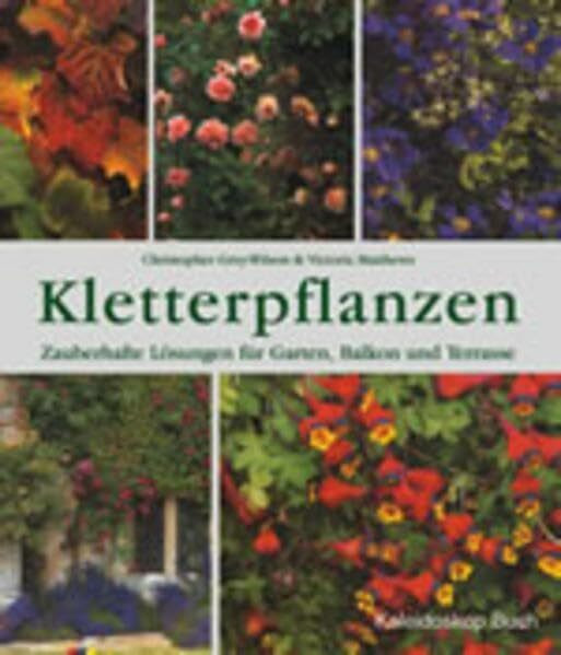 Kletterpflanzen: Zauberhafte Lösungen für Garten, Balkon und Terrasse