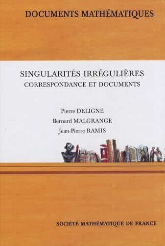 Singularités irrégulières: Correspondance et documents