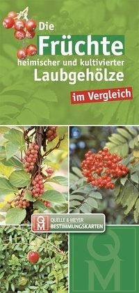 Die Früchte heimischer und kultivierter Laubgehölze im Vergleich