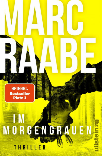Im Morgengrauen: Thriller | Der neue Thriller von Bestsellerautor Marc Raabe! (Art Mayer-Serie, Band 4)