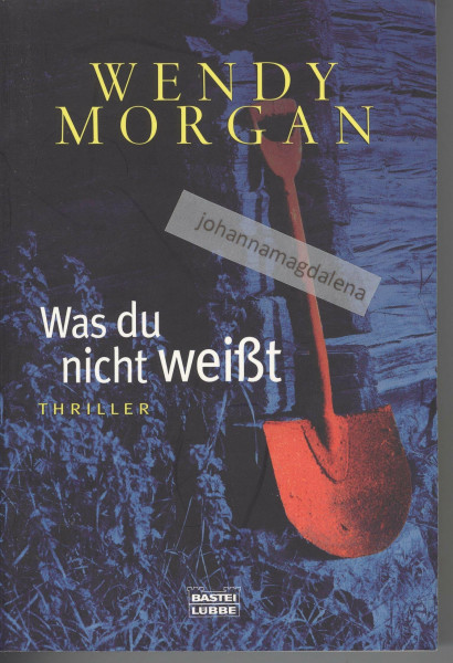 Was du nicht weißt: Thriller (Allgemeine Reihe. Bastei Lübbe Taschenbücher)