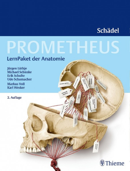 PROMETHEUS LernPaket Anatomie Schädel
