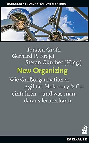 New Organizing: Wie Großorganisationen Agilität, Holacracy & Co. einführen – und was man daraus lernen kann (Management und Organisationsberatung)