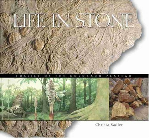 Life In Stone: Fossils Of The Colorado Plateau