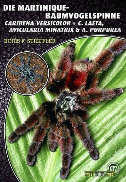 Die Martinique-Baumvogelspinne: Caribena versicolor & Caribena laeta, Avicularia minatrix & Avicularia purpurea (Buchreihe Art für Art Terraristik)