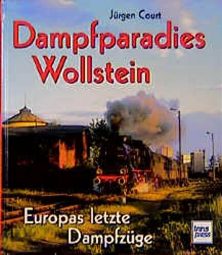 Dampfparadies Wollstein