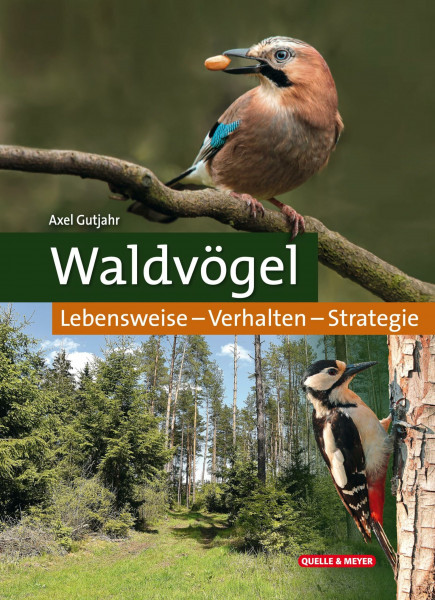 Waldvögel: Lebensweise – Verhalten – Strategie
