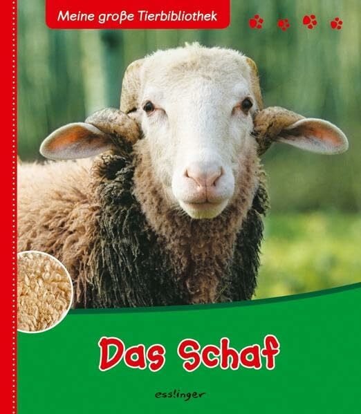 Meine große Tierbibliothek: Das Schaf