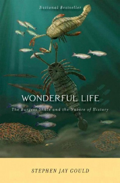 Wonderful Life