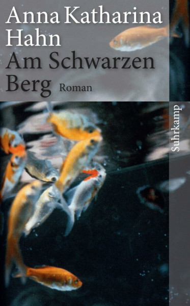 Am Schwarzen Berg: Roman (suhrkamp taschenbuch)