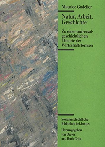 Natur, Arbeit, Geschichte: Zu einer universalgeschichtlichen Theorie der Wirtschaftsformen (Sozialgeschichtliche Bibliothek bei Junius)
