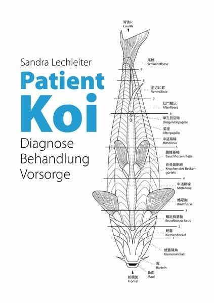 Patient Koi: Diagnose – Behandlung – Vorsorge