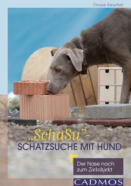 „SchaSu“ – Schatzsuche mit Hund: Der Nase nach zum Zielobjekt