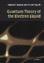 Quantum Theory Of The Electron Liquid