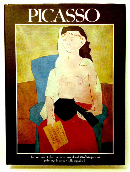 Pablo Picasso (DUMONT Bibliothek grosser Maler)
