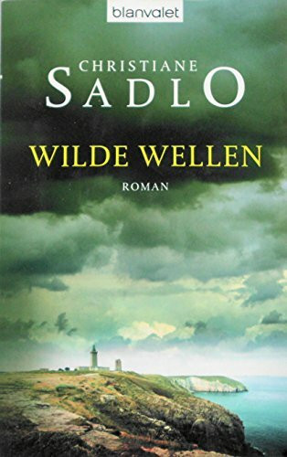 Wilde Wellen: Roman