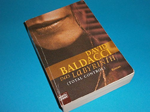 Das Labyrinth (Total Control): Roman