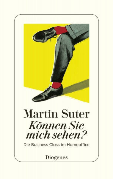 Können Sie mich sehen?: Die Business Class im Homeoffice