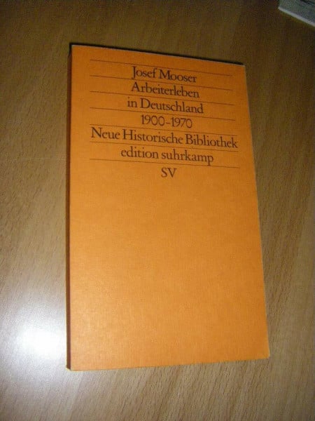 Sozialgeschichte der Arbeiter in Deutschland 1900-1980 (edition suhrkamp)