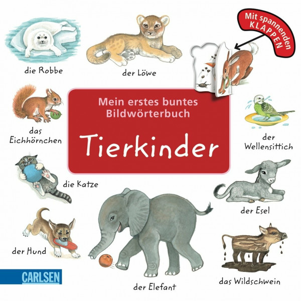 Mein erstes buntes Bildwörterbuch: Tierkinder