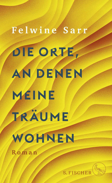 Die Orte, an denen meine Träume wohnen: Roman