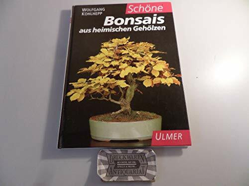 Schöne Bonsais aus heimischen Gehölzen