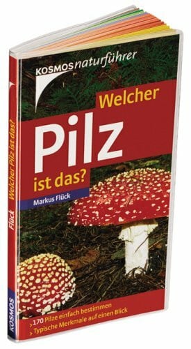 Welcher Pilz ist das?: 170 Pilze einfach bestimmen. Typische Merkmale auf einen Blick