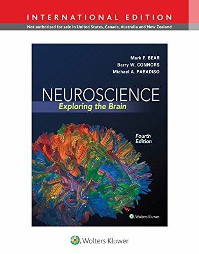 Neuroscience, International Edition: Exploring the Brain