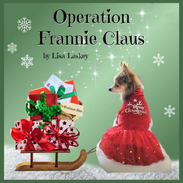 Operation Frannie Claus (FranDan, Band 4)
