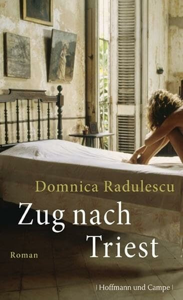 Zug nach Triest: Roman