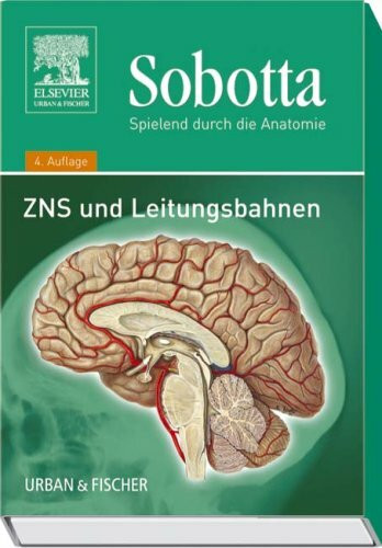 Sobotta - Spielend durch die Anatomie. ZNS und Leitungsbahnen. 115 farb. Lernkarten