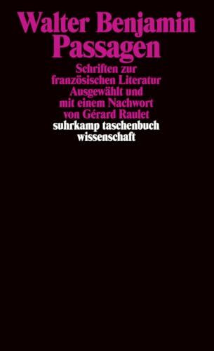 Passagen: Schriften zur französischen Literatur (suhrkamp taschenbuch wissenschaft)