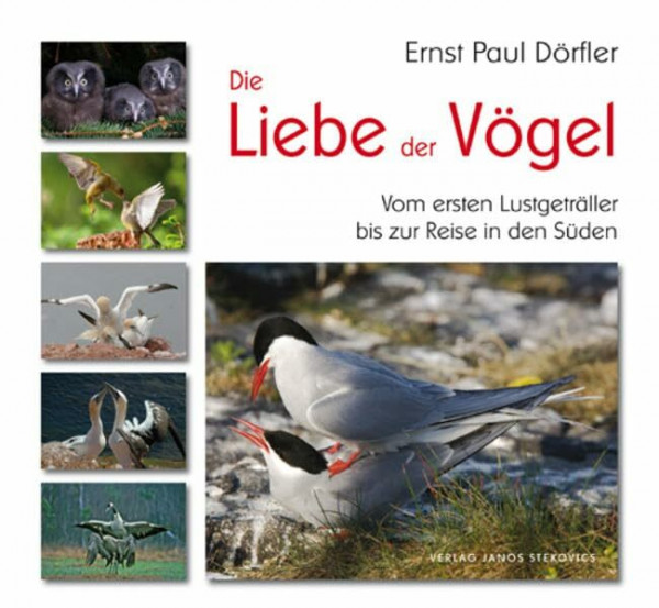 Die Liebe der Vögel: Vom ersten Lustgeträller bis zur Reise in den Süden