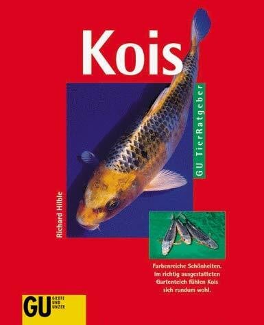 Kois. Farbenreiche Schönheiten. Im richtigen ausgestatteten Gartenteich fühlen Kois sich rundum wohl