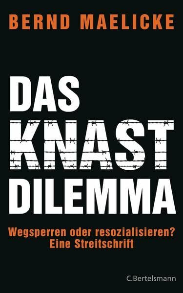 Das Knast-Dilemma: Wegsperren oder resozialisieren? Eine Streitschrift