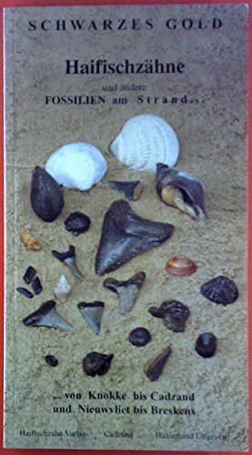 Schwarzes Gold - Haifischzähne und andere Fossilien am Strand ...