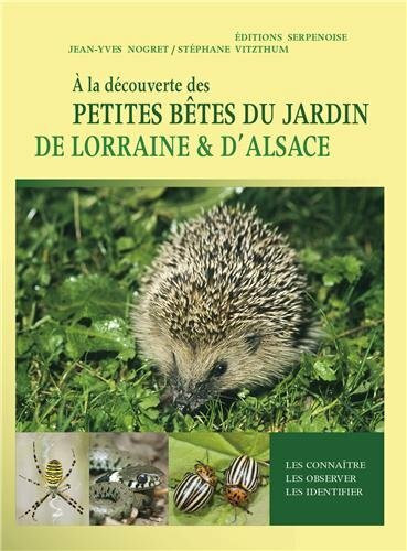 A la découverte des petites bêtes du jardin