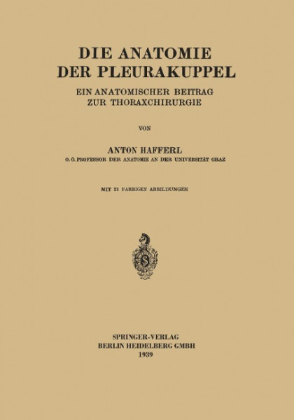 Die Anatomie der Pleurakuppel