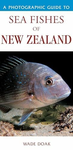 Photographic Guide to Sea Fishes of New Zealand Photographic Guide to Sea Fishes of New Zealand