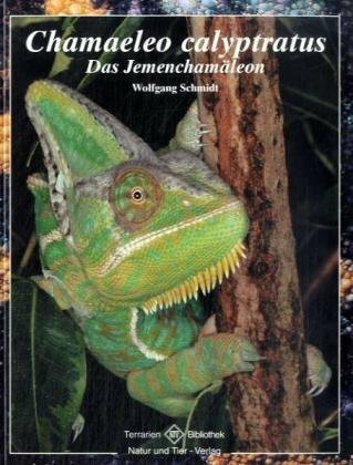 Chamaeleo calyptratus: Das Jemenchamäleon (Terrarien-Bibliothek)