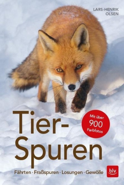 Tier-Spuren