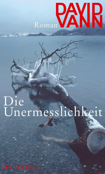 Die Unermesslichkeit: Roman