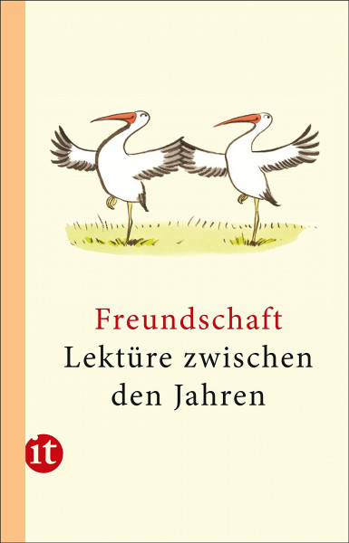 Lektüre zwischen den Jahren 2013: Freundschaft (insel taschenbuch)