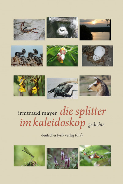 die splitter im kaleidoskop (deutscher lyrik verlag): gedichte