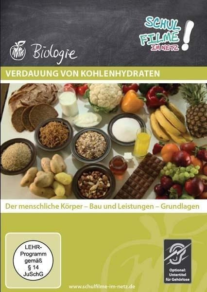 Verdauung von Kohlenhydraten