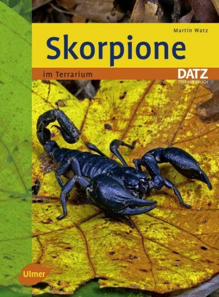 Skorpione: im Terrarium (Datz Terrarienbücher)